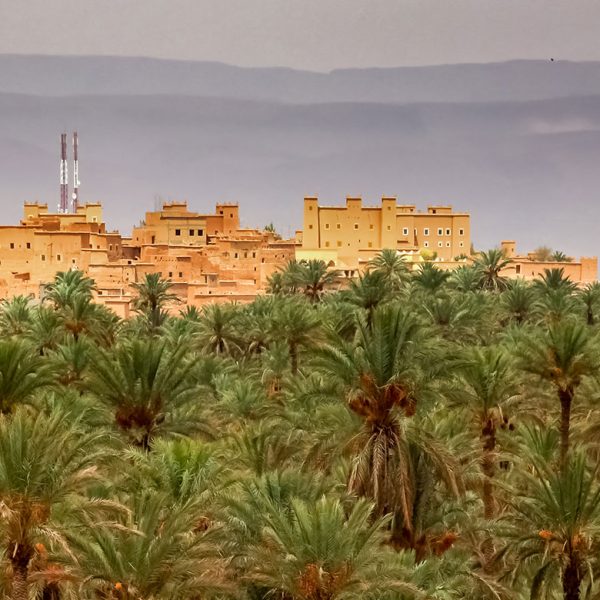 oasis morocco desert