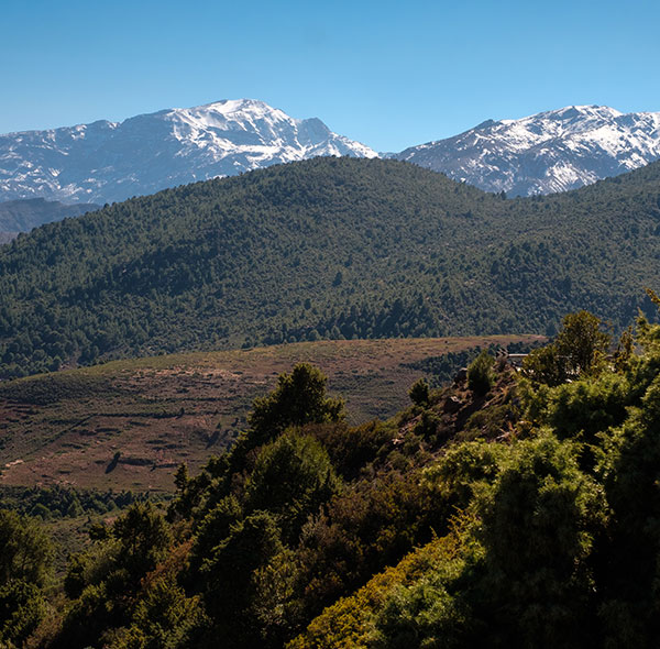 trip ourika valley from marrakech
