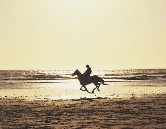 Beautiful Sunset Horseback Riding Essaouira Beach
