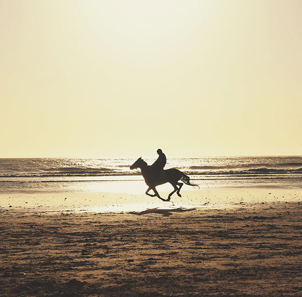 Sunset Horseback Riding Essaouira Beach