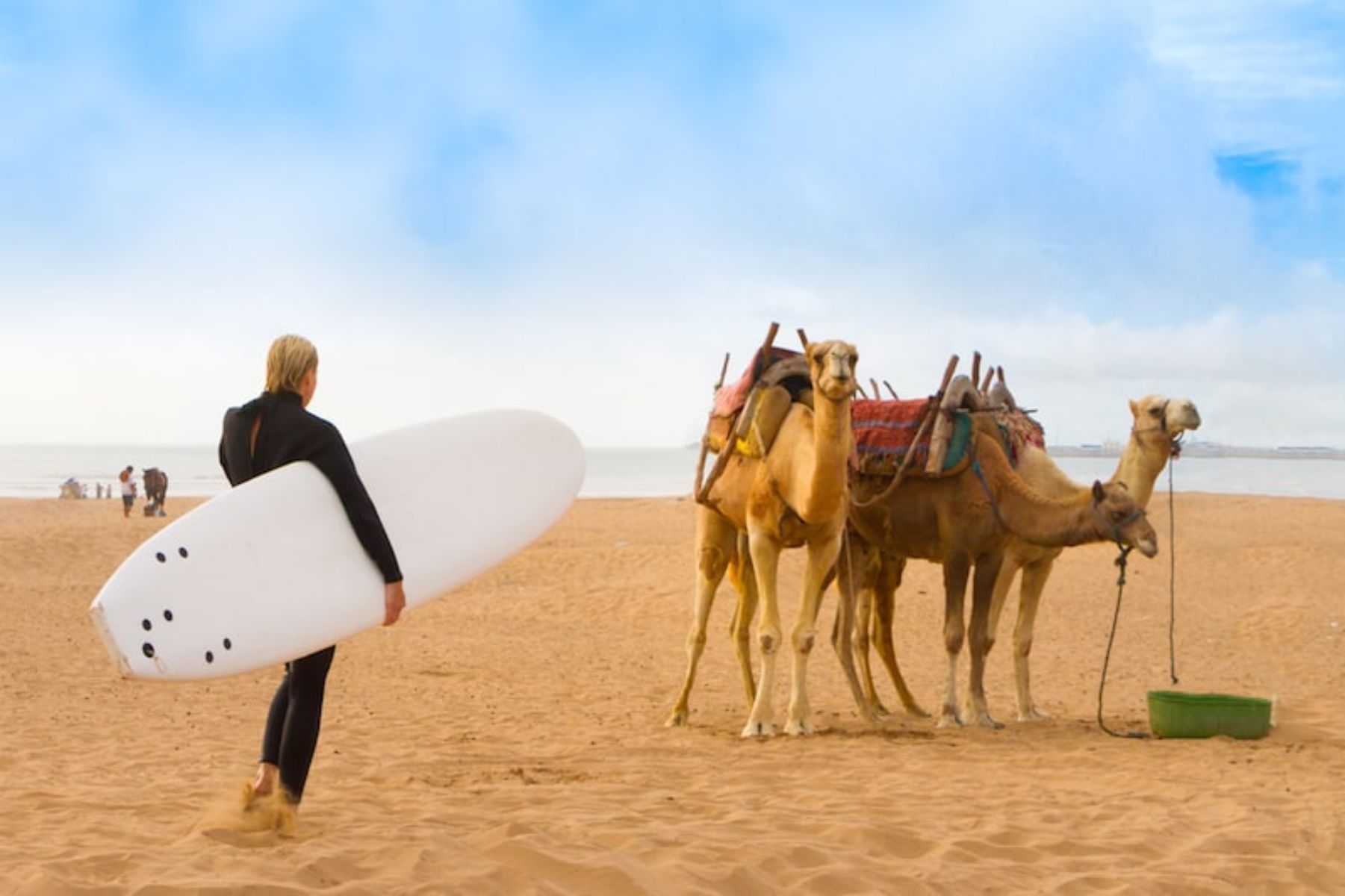 Essaouira Surfing