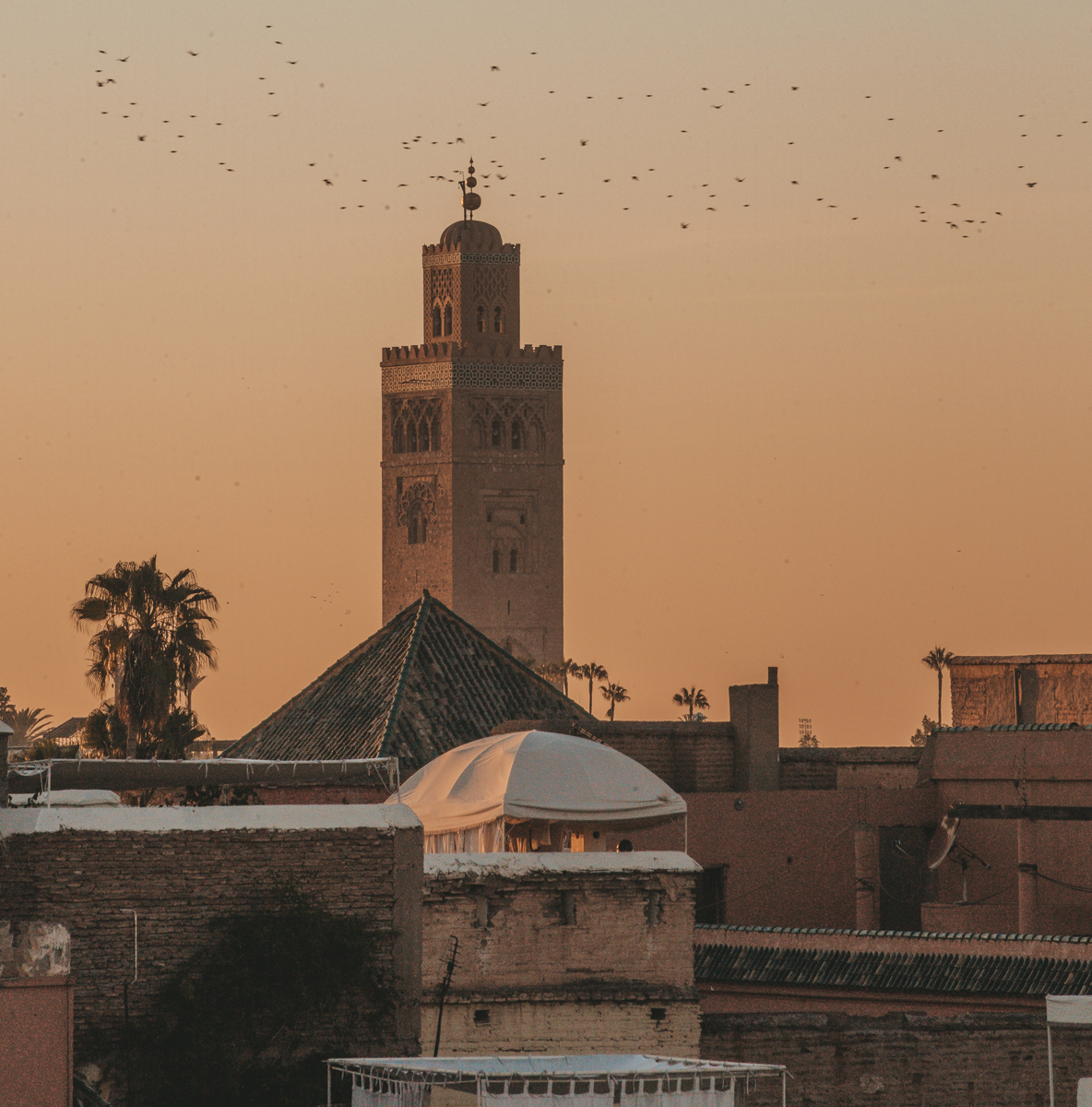 things to do in morocco marrakech