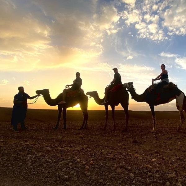Agafay Desert Dinner and camel ride