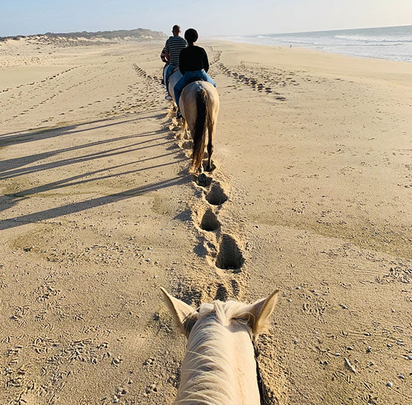Essaouira Horse Riding 4 Day Trip