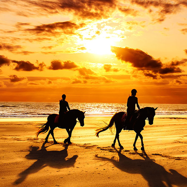 Agadir horse ride