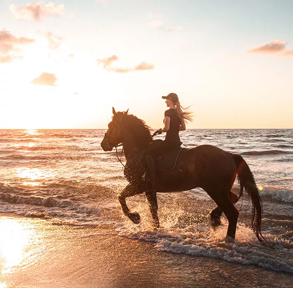 Agadir horse riding