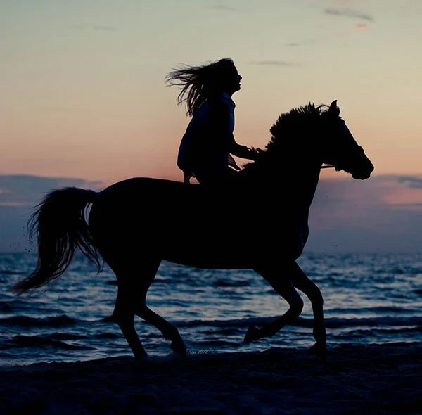 Agadir horseriding sunset