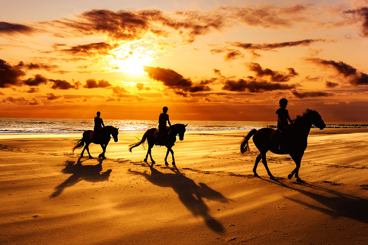 Essaouira Horse Riding Overnight Camp 2023
