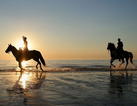 The Ultimate Agadir Beach Horse Riding Adventure