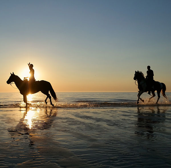 A melhor aventura de equitação na praia de Agadir