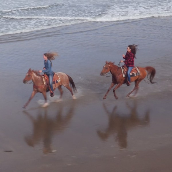 agadir horse riding morocco
