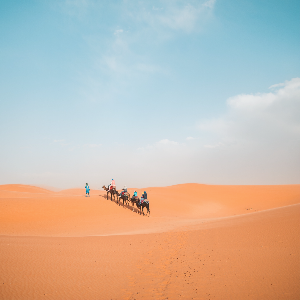 essaouira camel ride