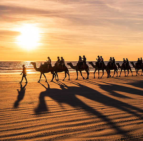 3-hour camel ride in Essaouira