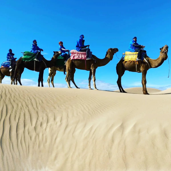 camel ride essaouira