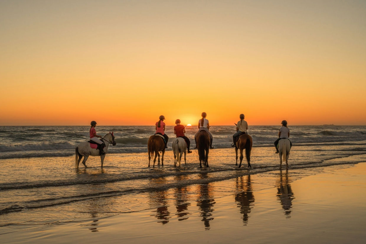 Full-day Essaouira Horse Riding and Picnic Adventure