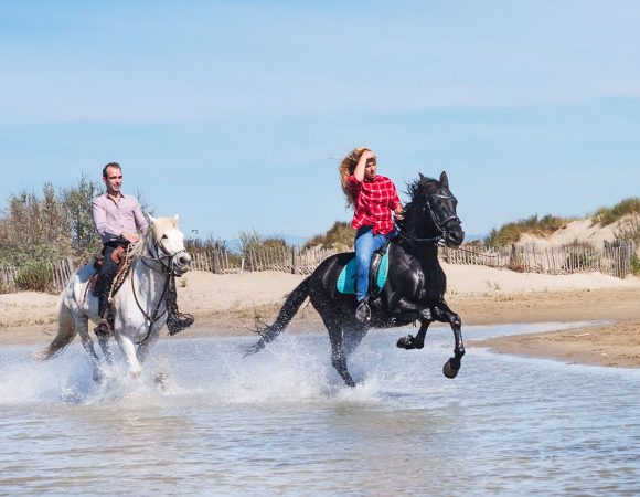 Horse Riding Essaouira: Saddle Up for an Unforgettable Adventure