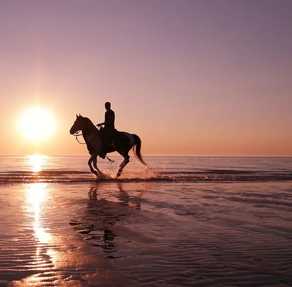 horse riding Agadir