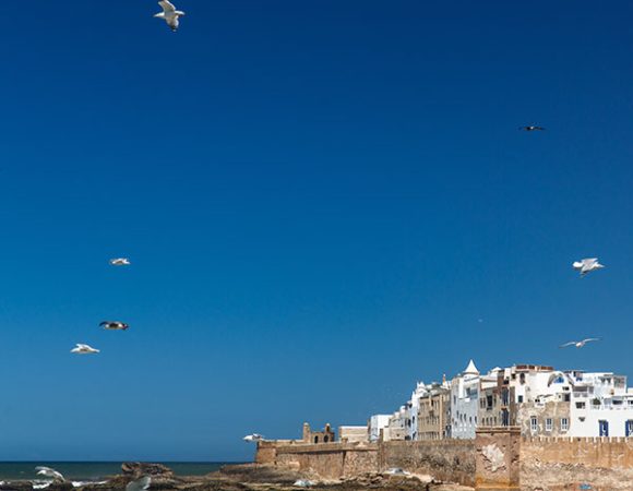 Things to do in Essaouira – A Guide to the City’s Best Attractions