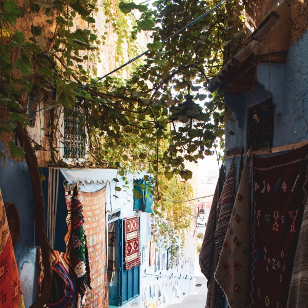 trip to chefchaouen from fez