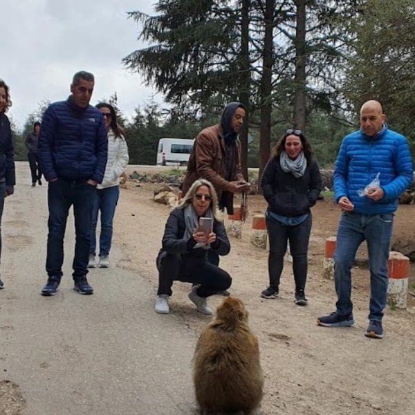 trip to ifrane and azrou from fes
