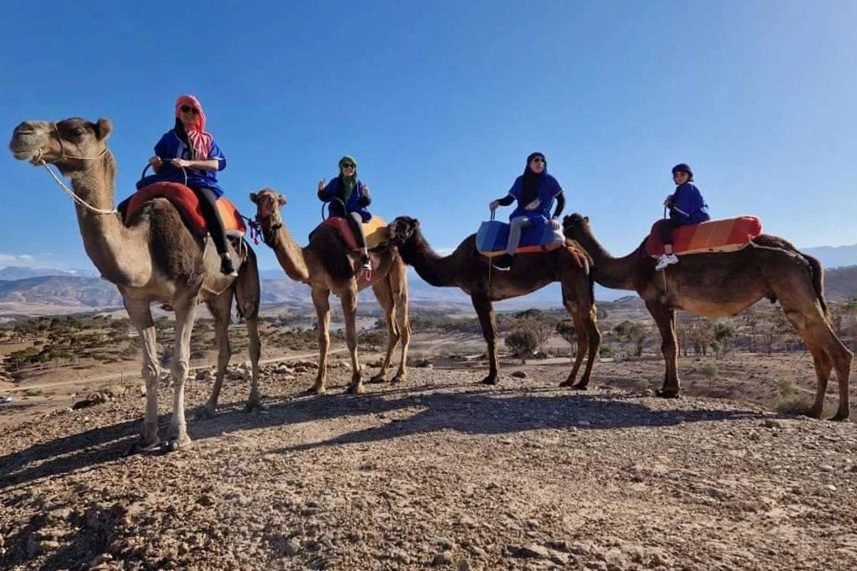 טיול גמלים יפהפה בשקיעה במדבר אגפאי 2023