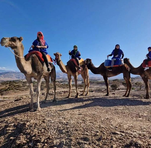 sunset desert camel ride in agafay