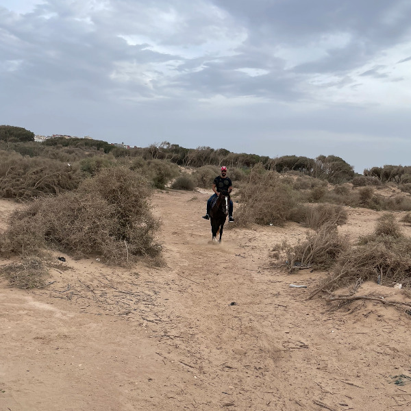 Horse Ride Essaouira