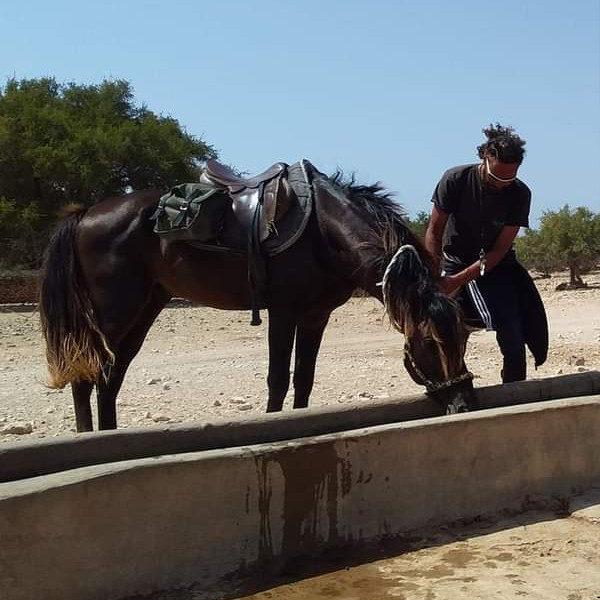Horse Riding Essaouira