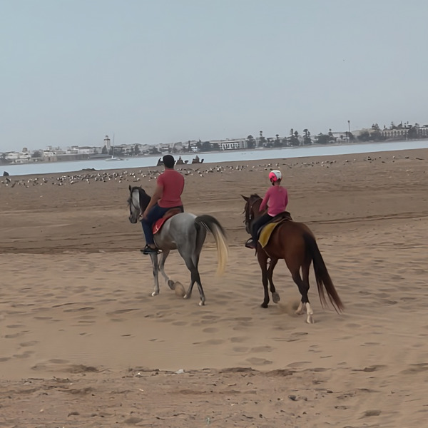 Horse Ride Essaouira