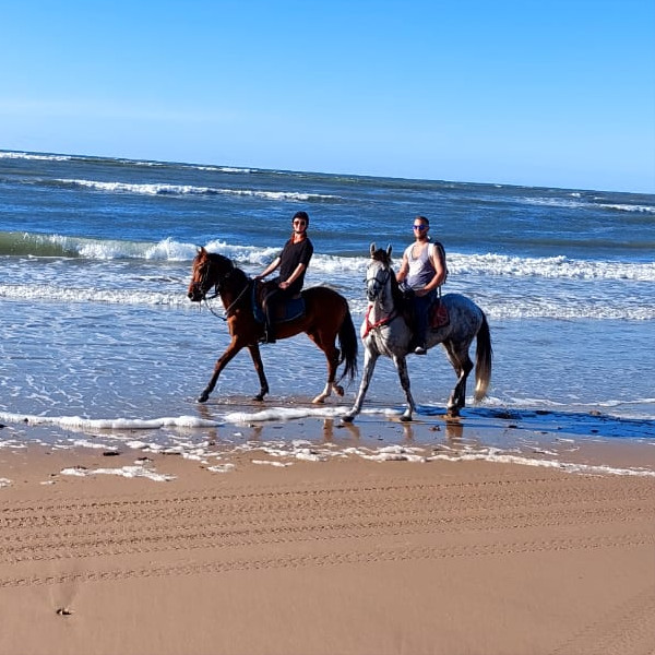 Horseback Riding Essaouira