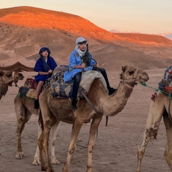 agafay camel ride day trip