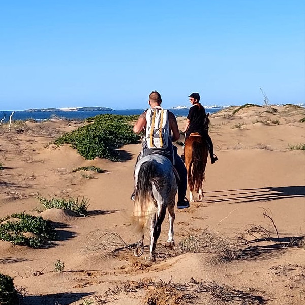 Essaouira Horse riding