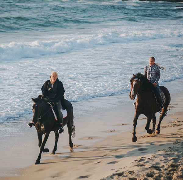 Horse riding Essaouira