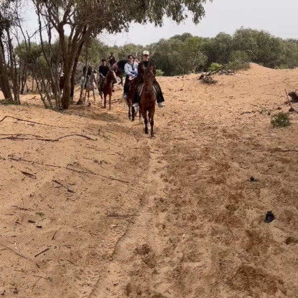 Horseback Ride Essaouira