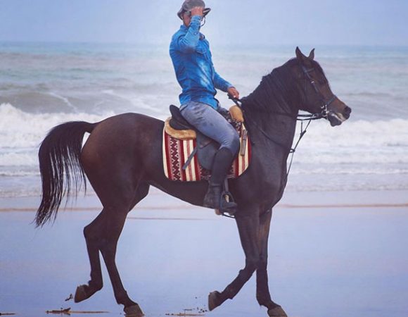 Horse Riding Casablanca: Experience Moroccan Magic 2023