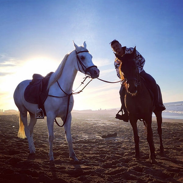 horse riding morocco casablanca